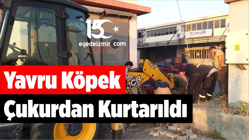 derinlikten kurtarıldı