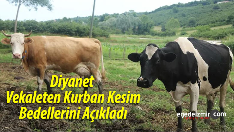 kurban kesimi