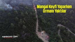 Mangal Keyfi Yaparken Ormanı Yaktılar