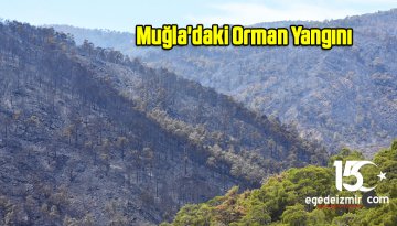 Muğla’daki Orman Yangını