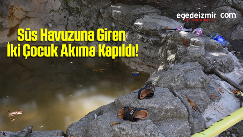 süs havuzu