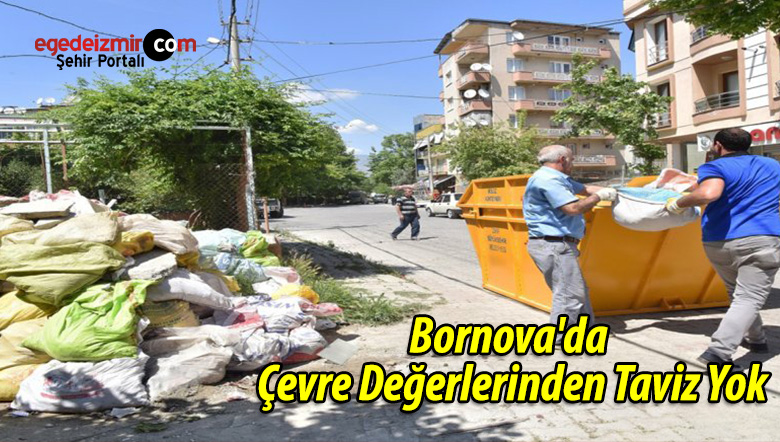 taviz yok