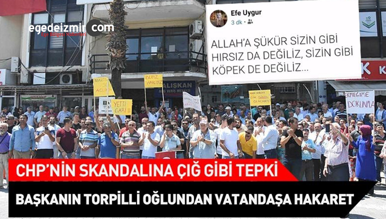 Tepkiler