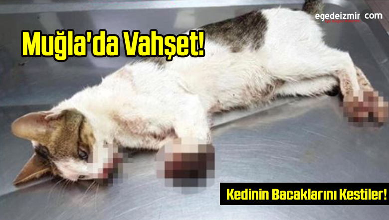 vahşet