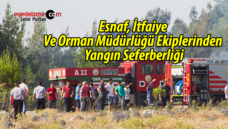 yangın