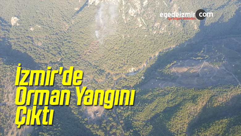 Orman Yangını