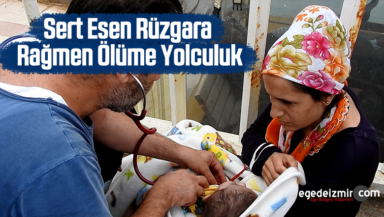 yolculuk