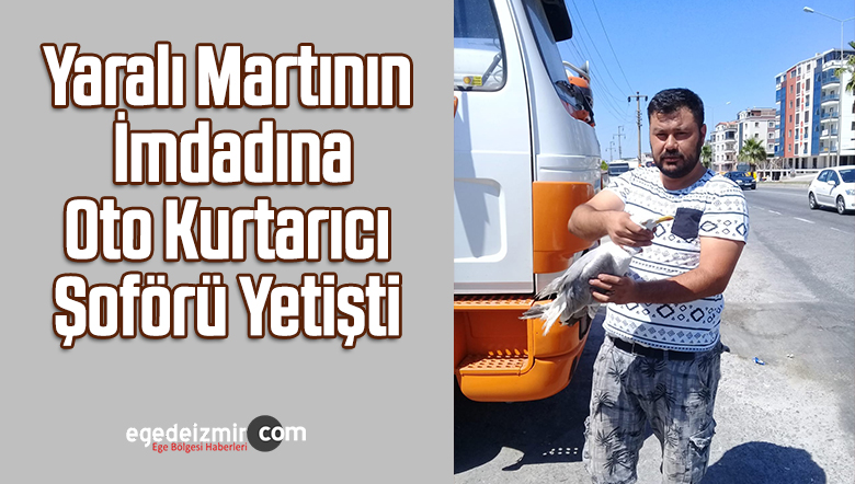şoförü
