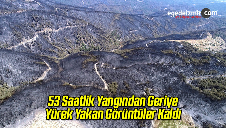 53 Saatlik