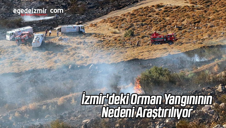 Çıkış Nedenini