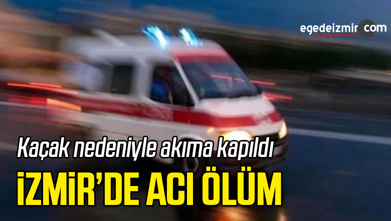 Vincin Mekanizmasındaki