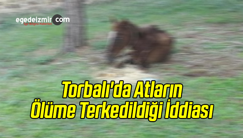 Terkedildiği