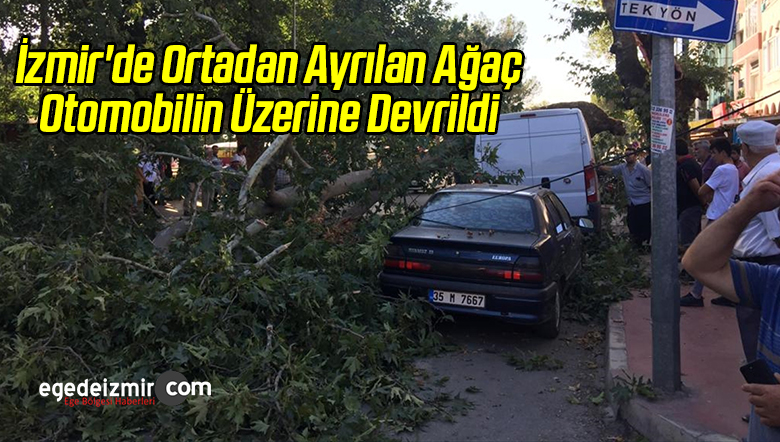 Ortadan Ayrılan