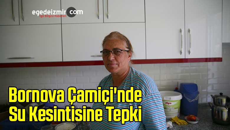 Çamiçi'nde