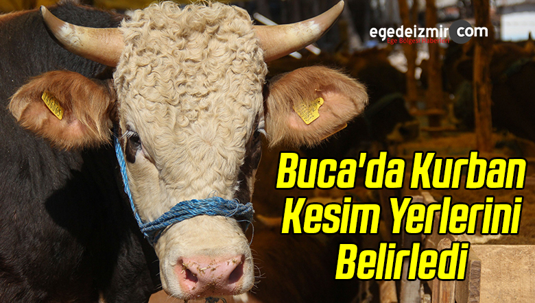 Kurban Kesim