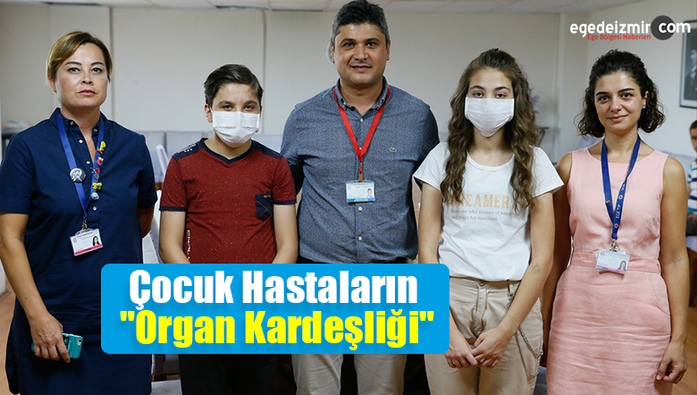 organ kardeşliği
