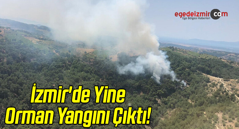 İzmir’de Orman Yangını Çıktı!