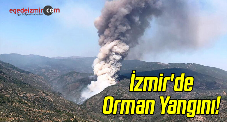 İzmir’de Orman Yangını!