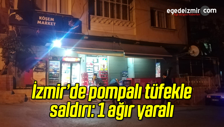 Pompalı Tüfek Saldırısı