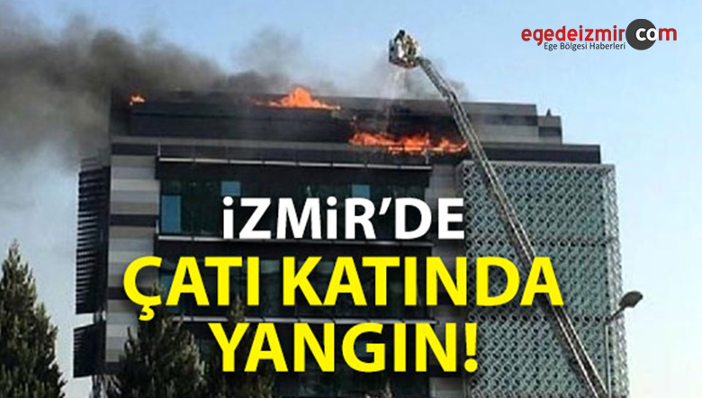 Binanın Çatısında