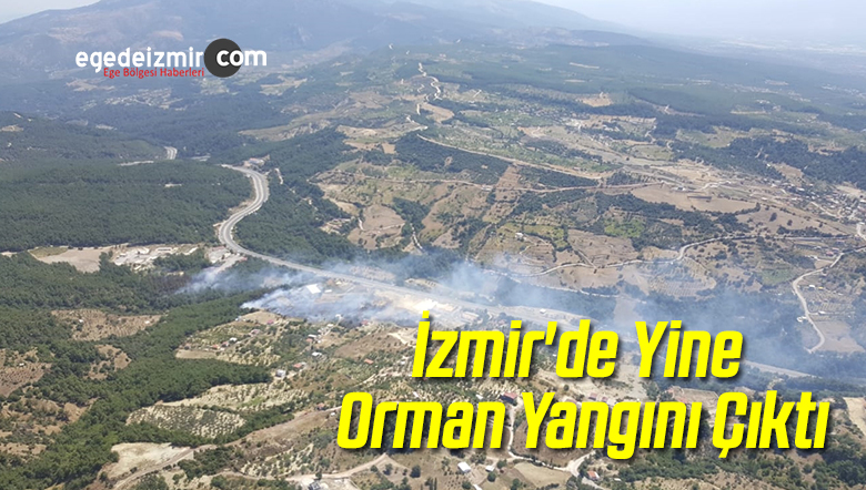Orman Yangını