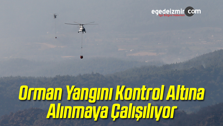 Kontrol Altına