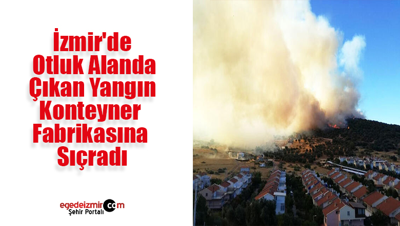 yangın