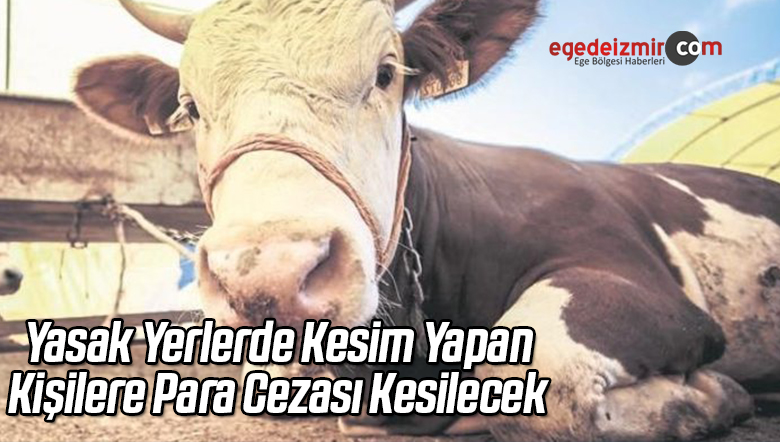 Kesim Yapan