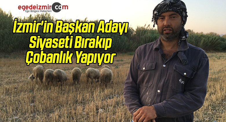 İzmir’in Başkan Adayı Siyaseti Bırakıp Çobanlık Yapıyor