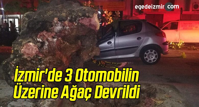 İzmir’de 3 Otomobilin Üzerine Ağaç Devrildi