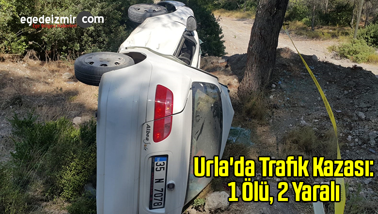 Otomobilin Ağaca