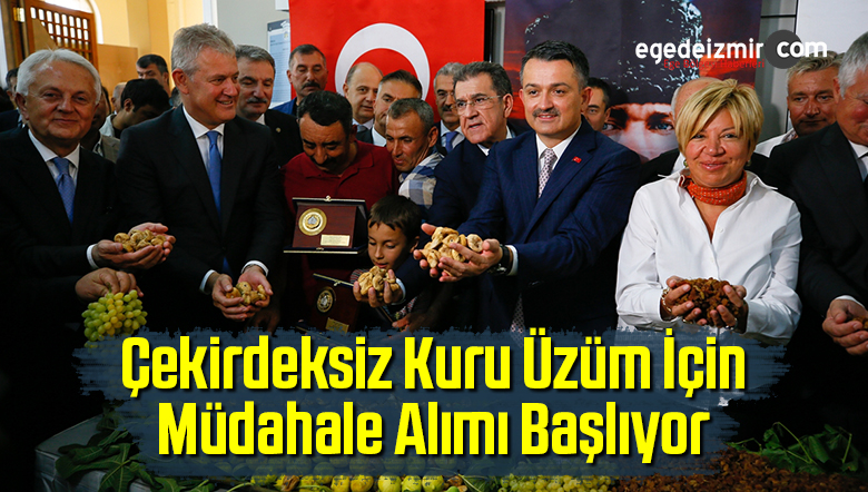 Kuru Üzüm