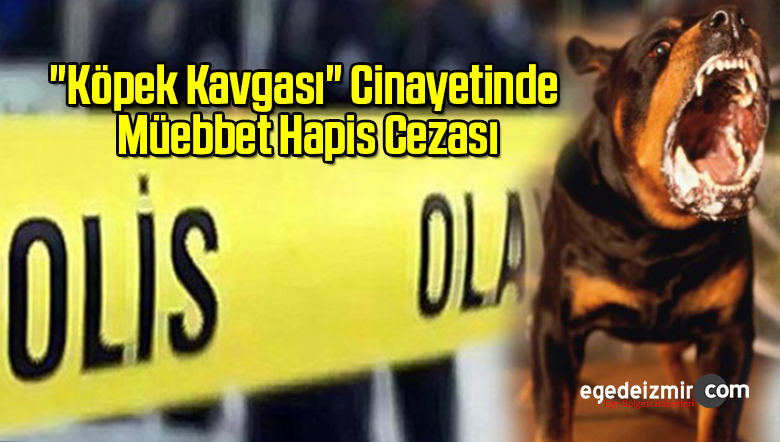 köpek kavgası