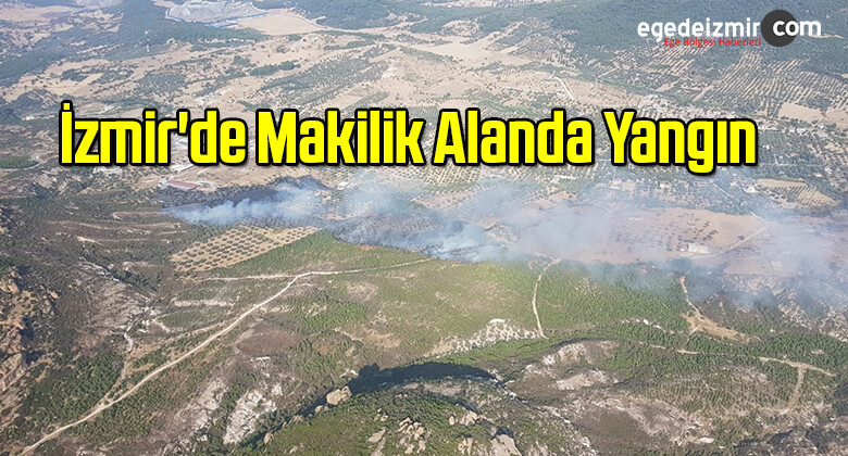 İzmir’de Makilik Alanda Yangın