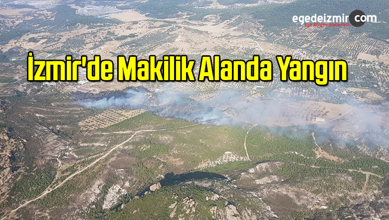 makilik alanda yangın