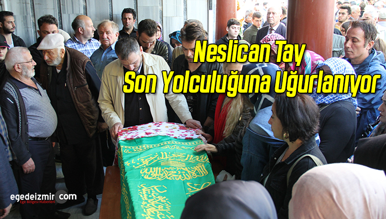 neslican
