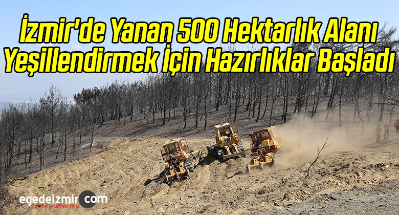 İzmir’de Yanan 500 Hektarlık Alanı Yeşillendirmek İçin Hazırlıklar Başladı