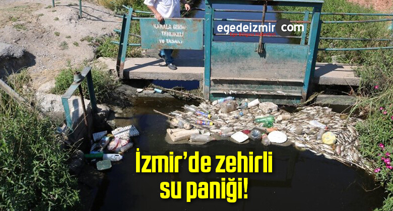 İzmir’de Kanallardaki Balık Ölümleri Büyük Korku Yarattı