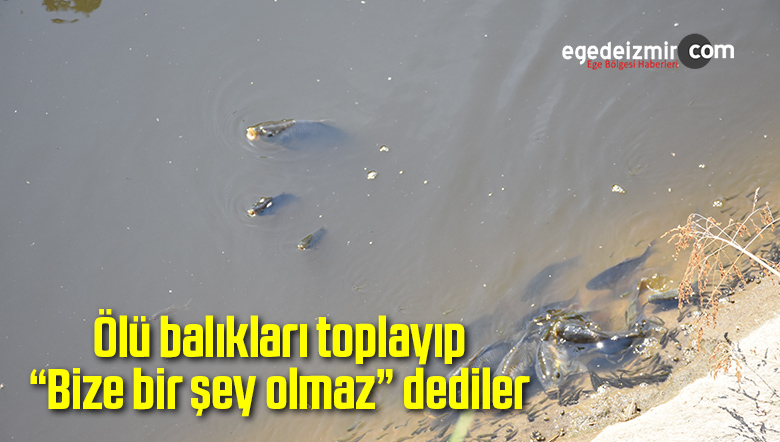 Balık Ölümü
