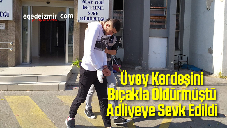 Üvey Kardeşini