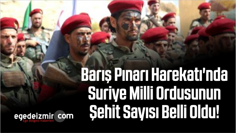Barış Pınarı Harekatı'nda