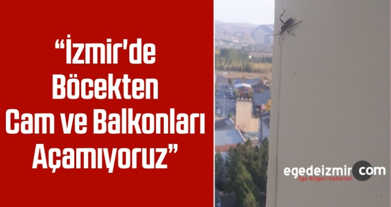 “İzmir’de Böcekten Cam ve Balkonları Açamıyoruz”