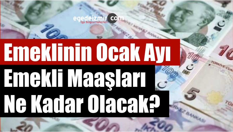 Emeklinin Ocak Ayı