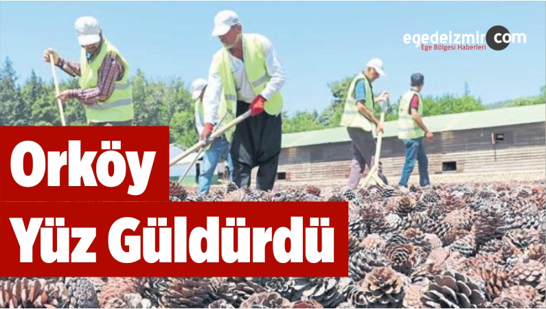 Hasat Yapılıyor