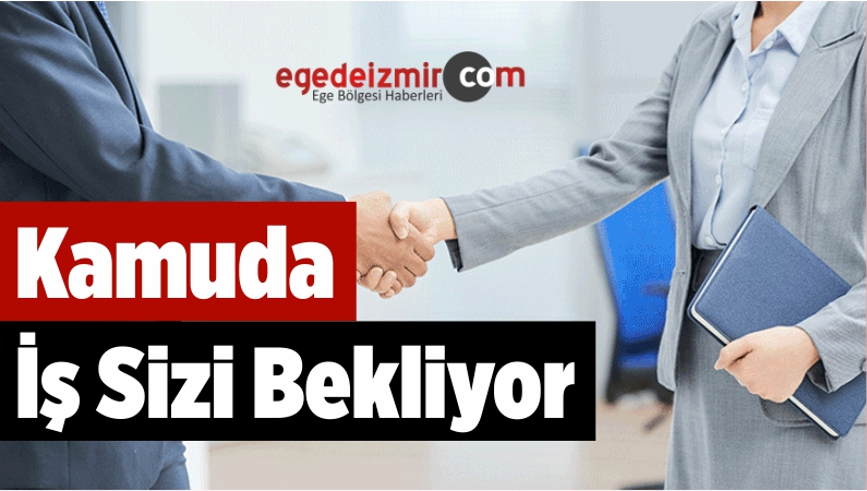 Kamuda İş