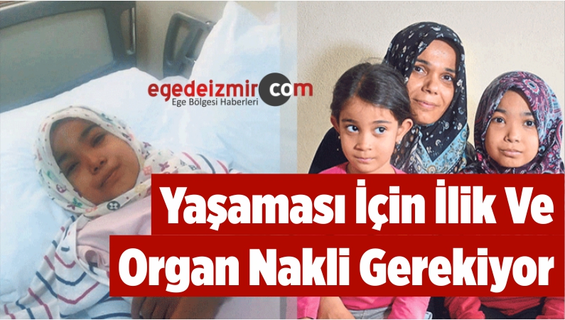 Nakli Gerekiyor