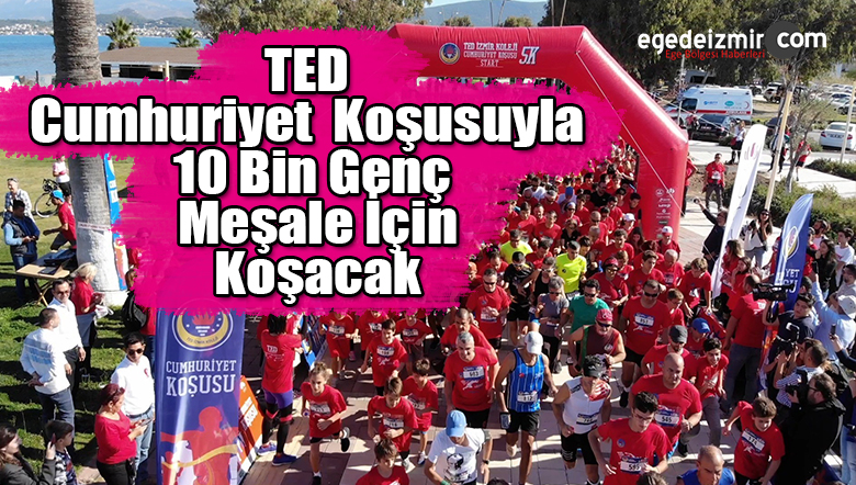TED cumhuriyet