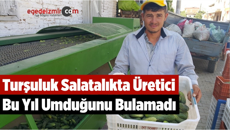 Turşuluk
