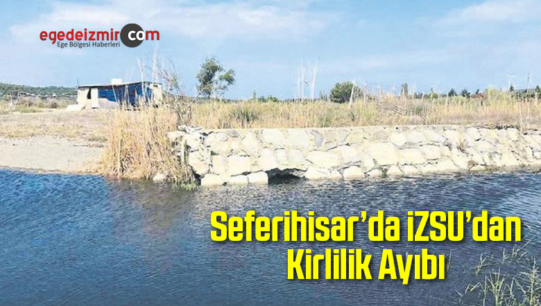Deniz Kirliliği
