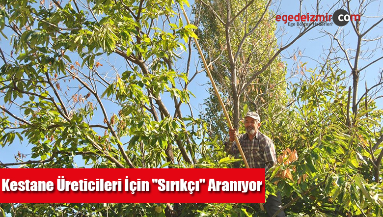 sırıkçı